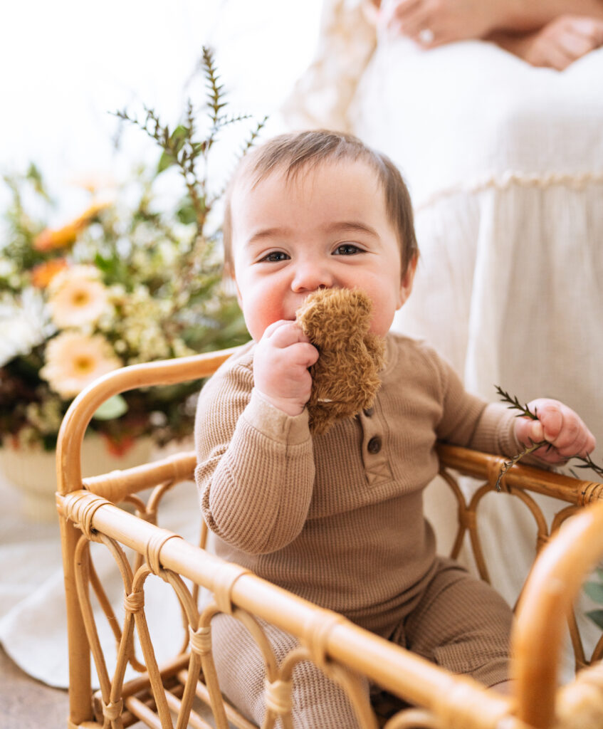 infant boy posing with small teddy bear for professional photos